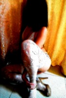 ����������� ���