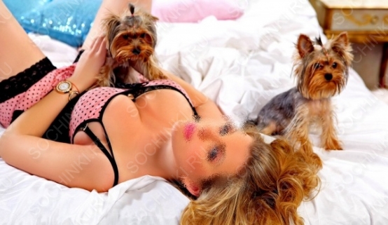 ����������� , ����