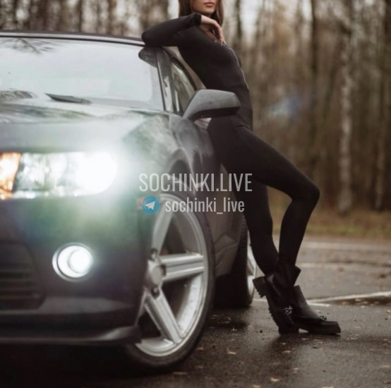 ����������� , ����